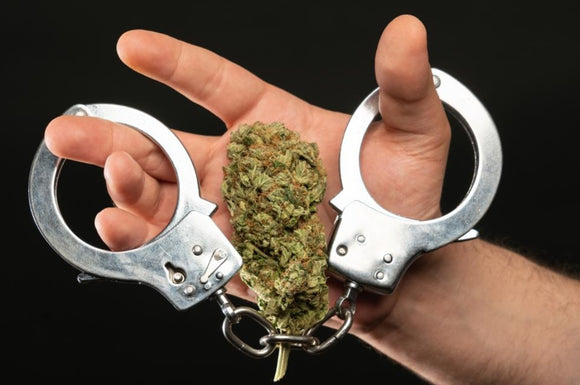 Austin, Texas city council decriminalized low level marijuana possession.